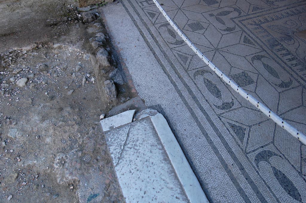 V.30 Herculaneum, May 2011. Oecus 1, looking north along doorway threshold and flooring. Photo courtesy of Nicolas Monteix.